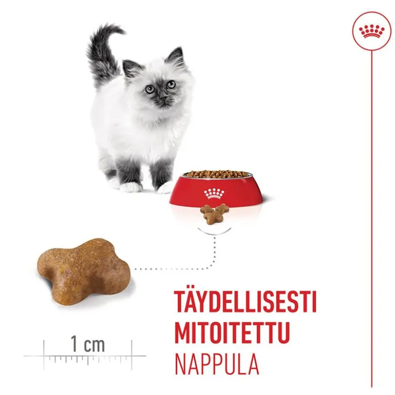 Royal Canin Kitten
