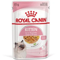 Royal Canin Kitten hyytelössä