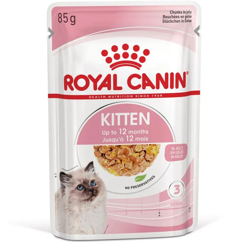 Royal Canin Kitten hyytelössä
