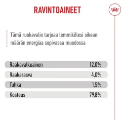 Royal Canin Kitten hyytelössä