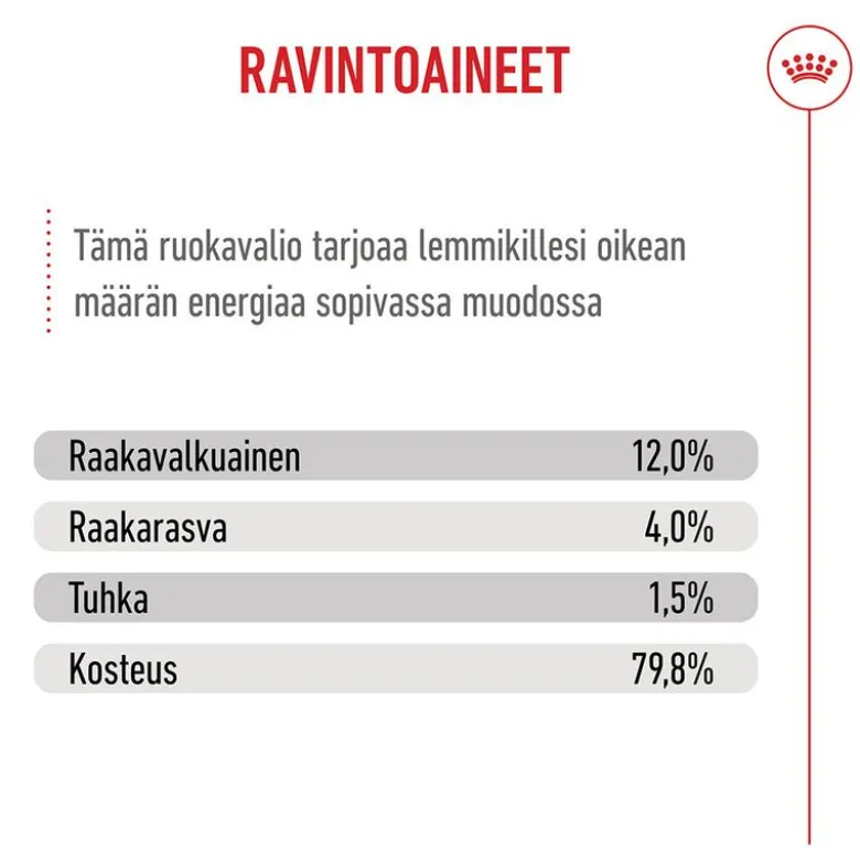 Royal Canin Kitten hyytelössä