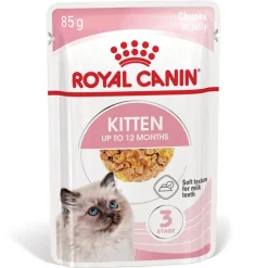 Royal Canin Kitten hyytelössä