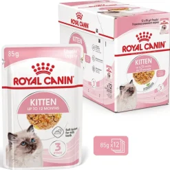 Royal Canin Kitten hyytelössä