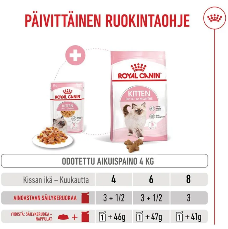 Royal Canin Kitten hyytelössä