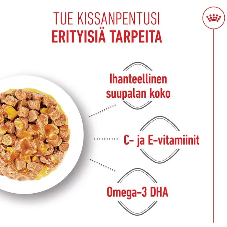 Royal Canin Kitten hyytelössä