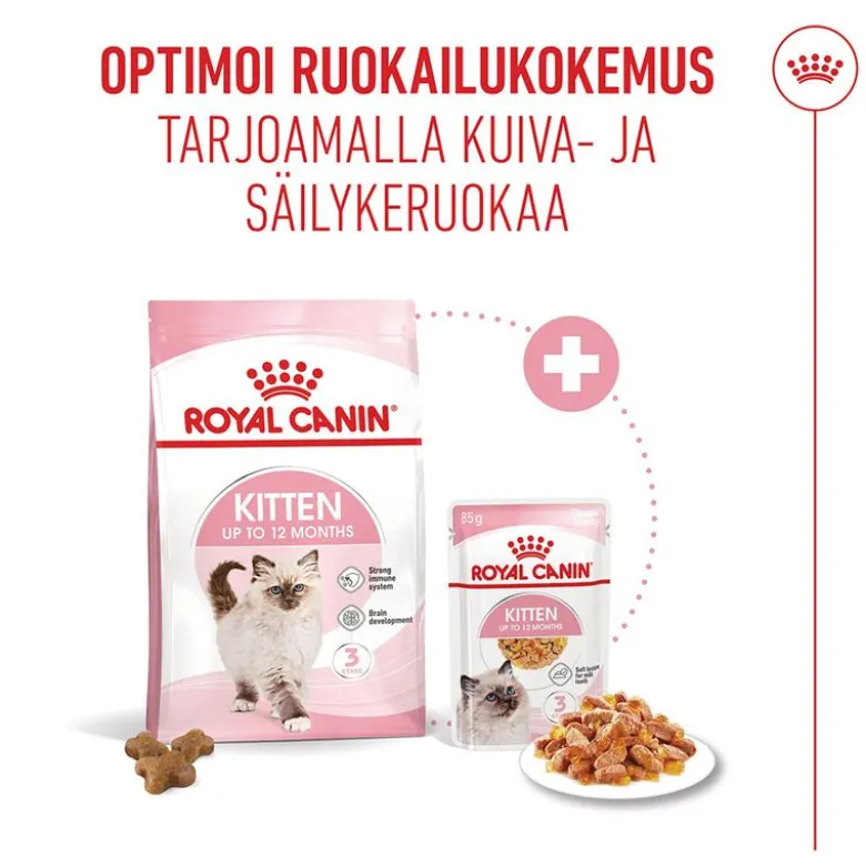 Royal Canin Kitten hyytelössä