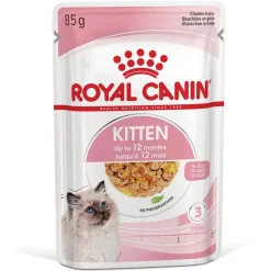 Royal Canin Kitten hyytelössä