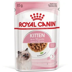 Royal Canin Kitten kastikkeessa