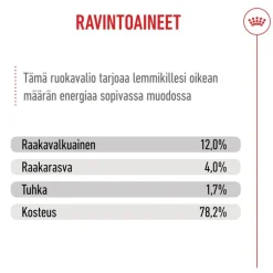 Royal Canin Kitten kastikkeessa