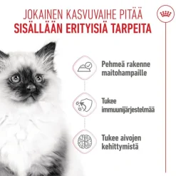 Royal Canin Kitten kastikkeessa