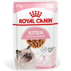 Royal Canin Kitten kastikkeessa