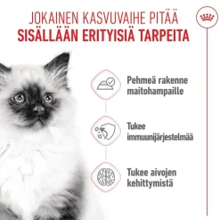 Royal Canin Kitten Mousse