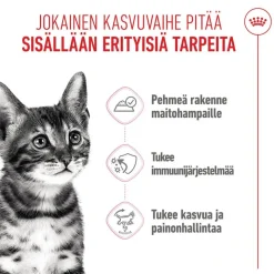 Royal Canin Kitten Sterilized in Jelly