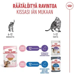 Royal Canin Kitten Sterilized in Jelly