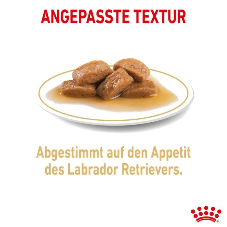 Royal Canin Labrador Retriever kastikkeessa