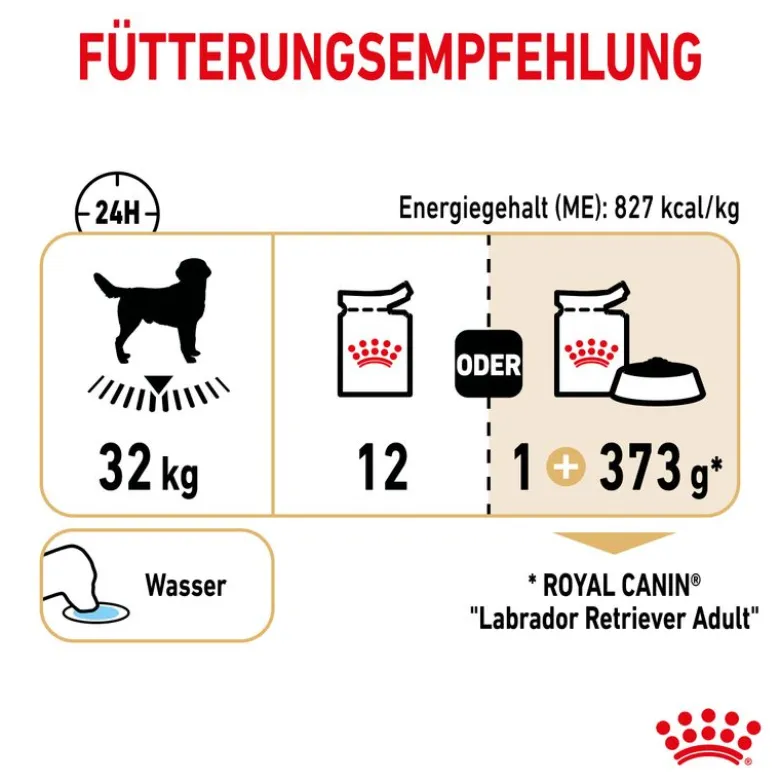 Royal Canin Labrador Retriever kastikkeessa