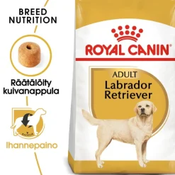 Royal Canin Labrador Retriever Adult