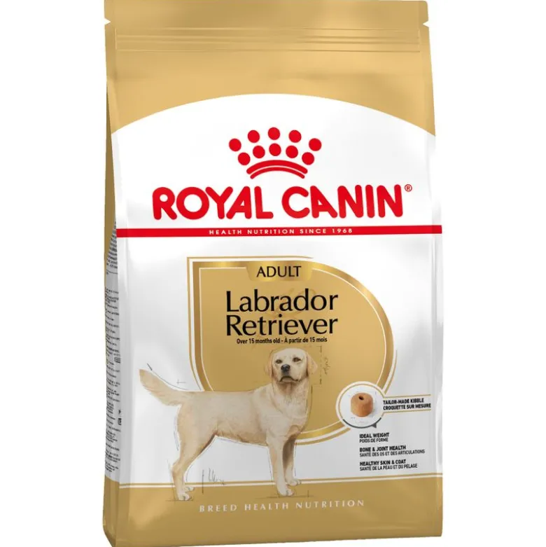 Royal Canin Labrador Retriever Adult