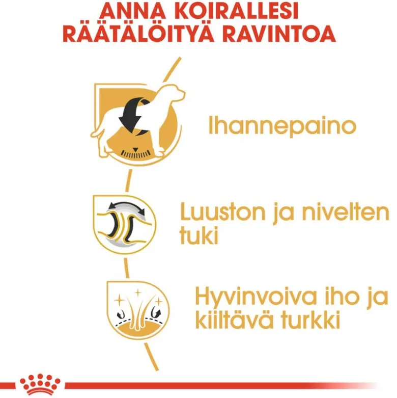 Royal Canin Labrador Retriever Adult