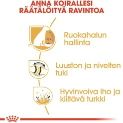 Royal Canin Labrador Retriever Adult Sterilised