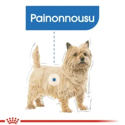 Royal Canin Light Weight Care Mousse