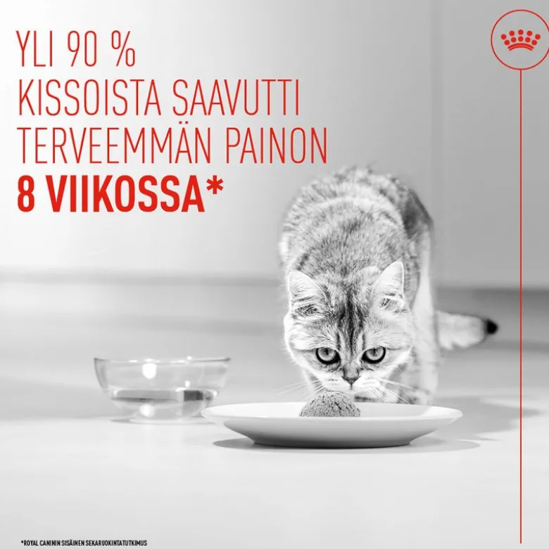 Royal Canin Light Weight Care AirLift Mousse