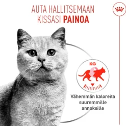 Royal Canin Light Weight Care AirLift Mousse