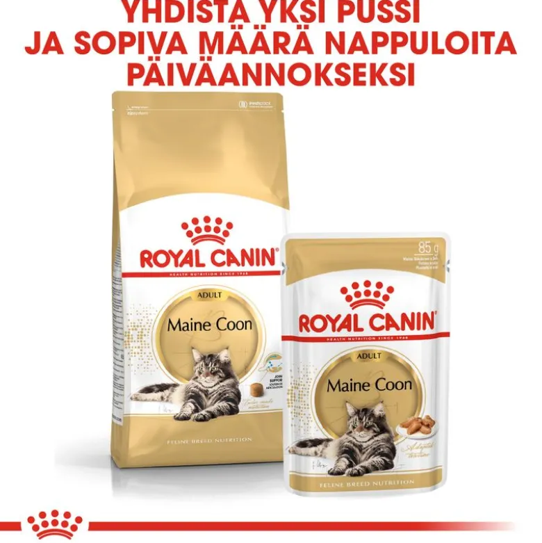Royal Canin Maine Coon Adult