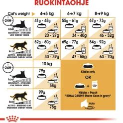 Royal Canin Maine Coon Adult
