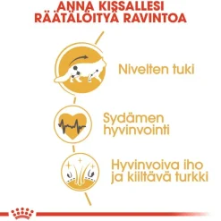 Royal Canin Maine Coon Adult
