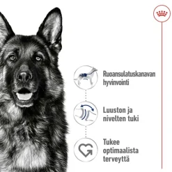 Royal Canin Maxi Adult