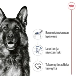 Royal Canin Maxi Adult mureke