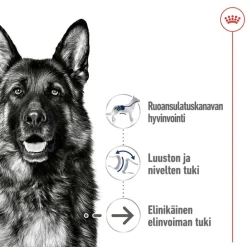 Royal Canin Maxi Ageing 8+