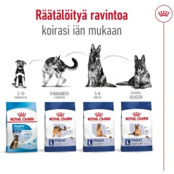 Royal Canin Maxi Ageing 8+