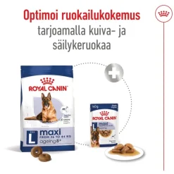 Royal Canin Maxi Ageing 8+