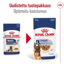 Royal Canin Maxi Ageing kastikkeessa