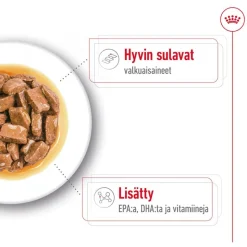 Royal Canin Maxi Ageing kastikkeessa