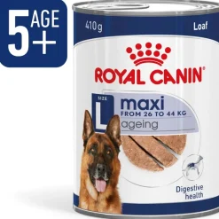 Royal Canin Maxi Ageing Mousse