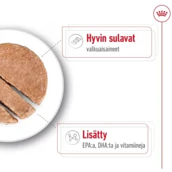 Royal Canin Maxi Ageing Mousse