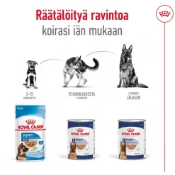 Royal Canin Maxi Ageing Mousse