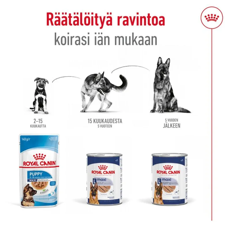 Royal Canin Maxi Ageing Mousse
