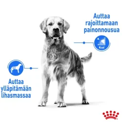 Royal Canin Maxi Light Weight Care
