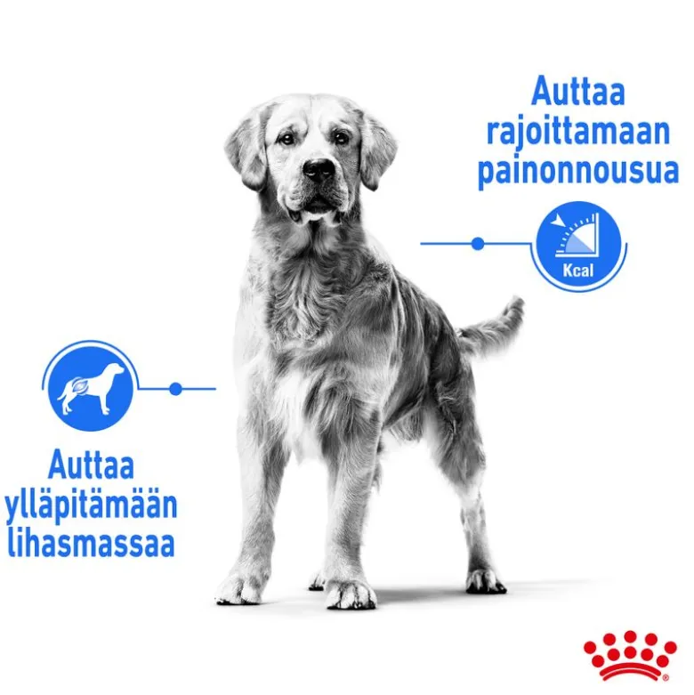Royal Canin Maxi Light Weight Care