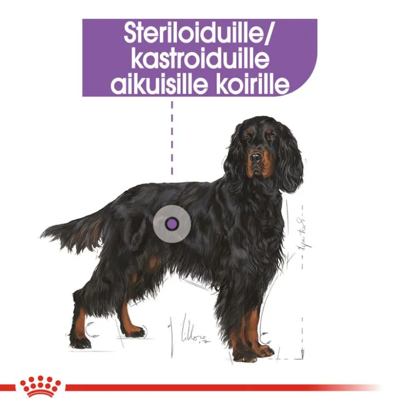 Royal Canin Maxi Sterilised
