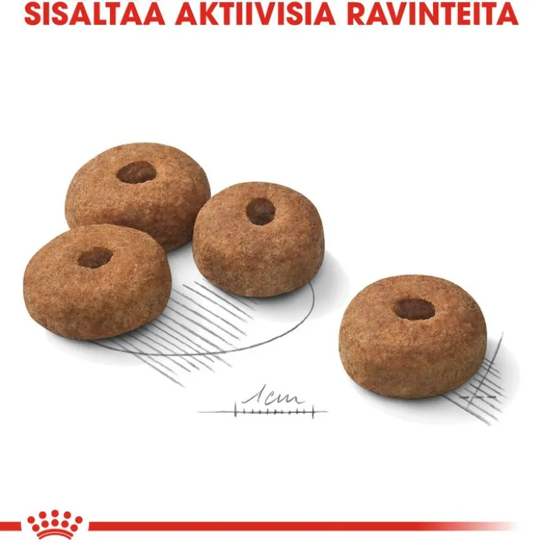 Royal Canin Maxi Sterilised