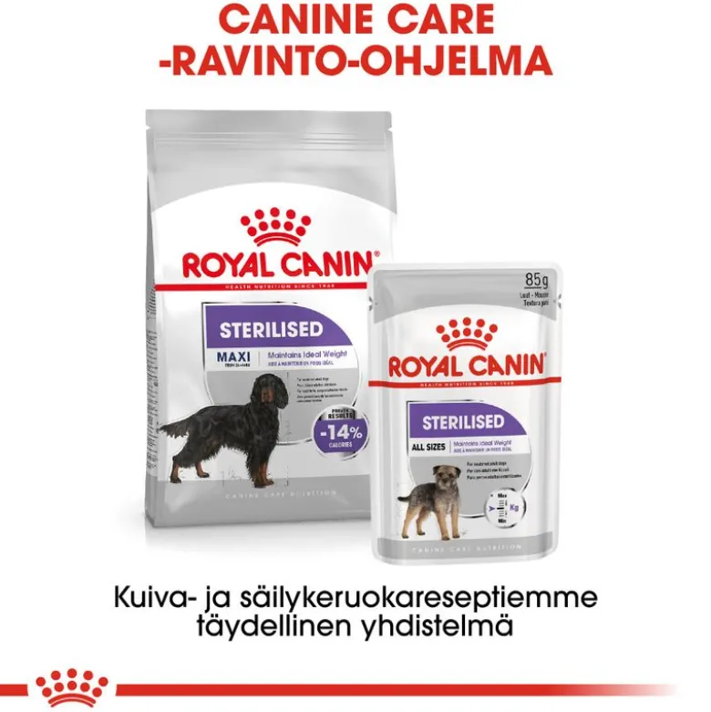 Royal Canin Maxi Sterilised