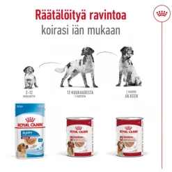 Royal Canin Medium Adult Mousse