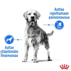 Royal Canin Medium Light Weight Care