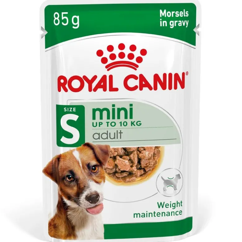 Royal Canin Mini Adult kastikkeessa