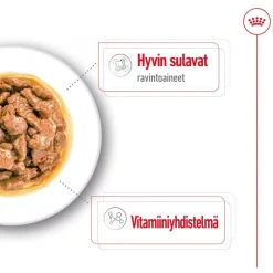 Royal Canin Mini Adult kastikkeessa